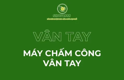 thumb may cham cong van tay 480x740 1