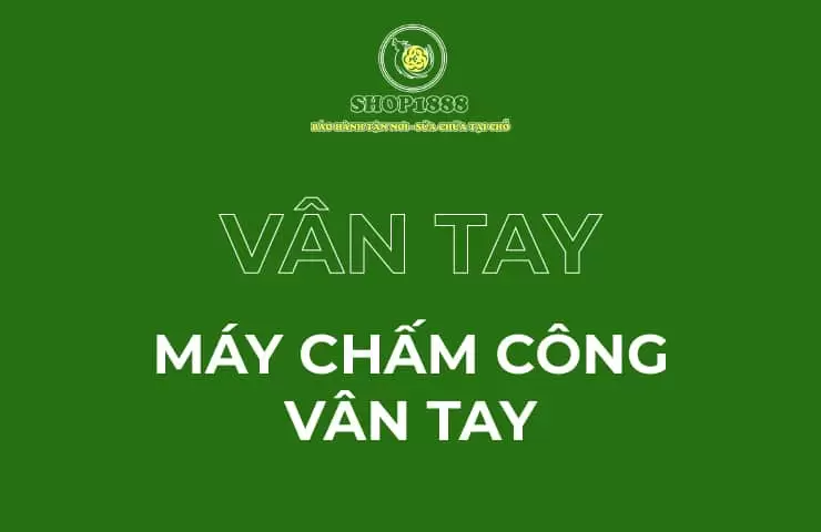 thumb may cham cong van